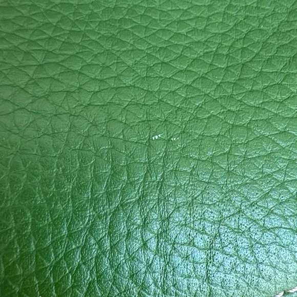 Dooney & Bourke Vibrant Green Mary Bag - Picture 5 of 10